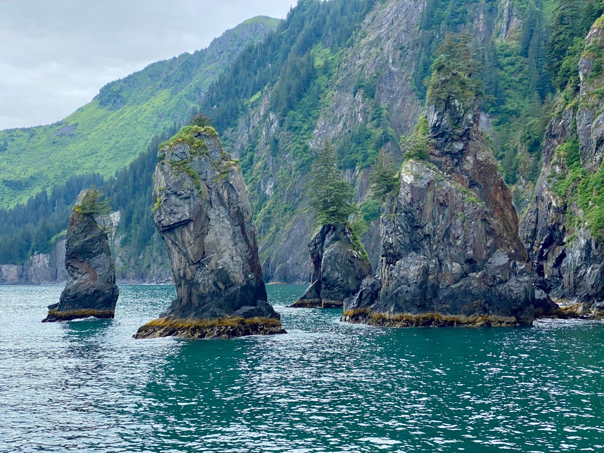 Discovering Seward, Alaska: Cozy Stays and Wild&nbsp;Adventures