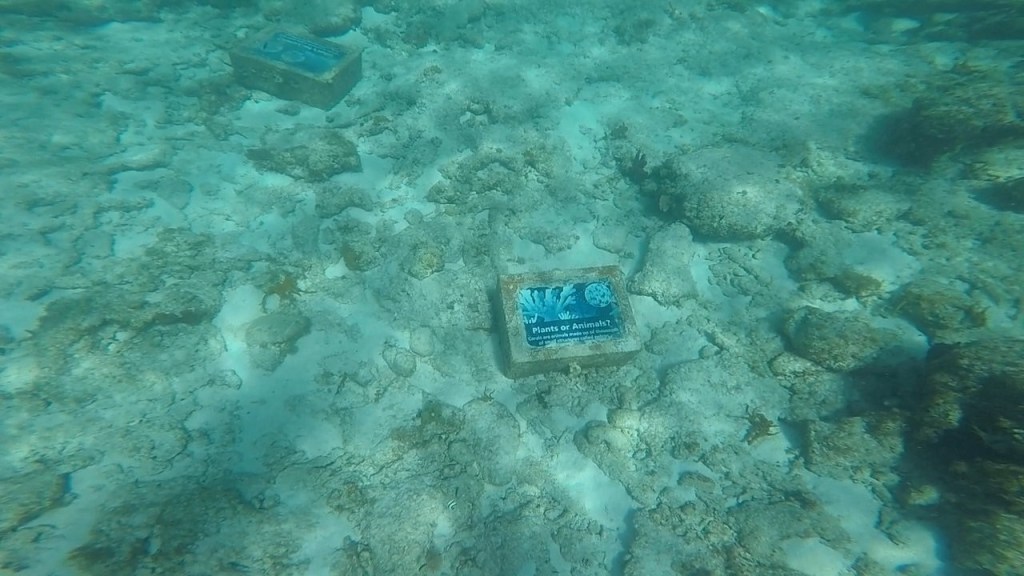 Plaque for underwater snorkel trail
